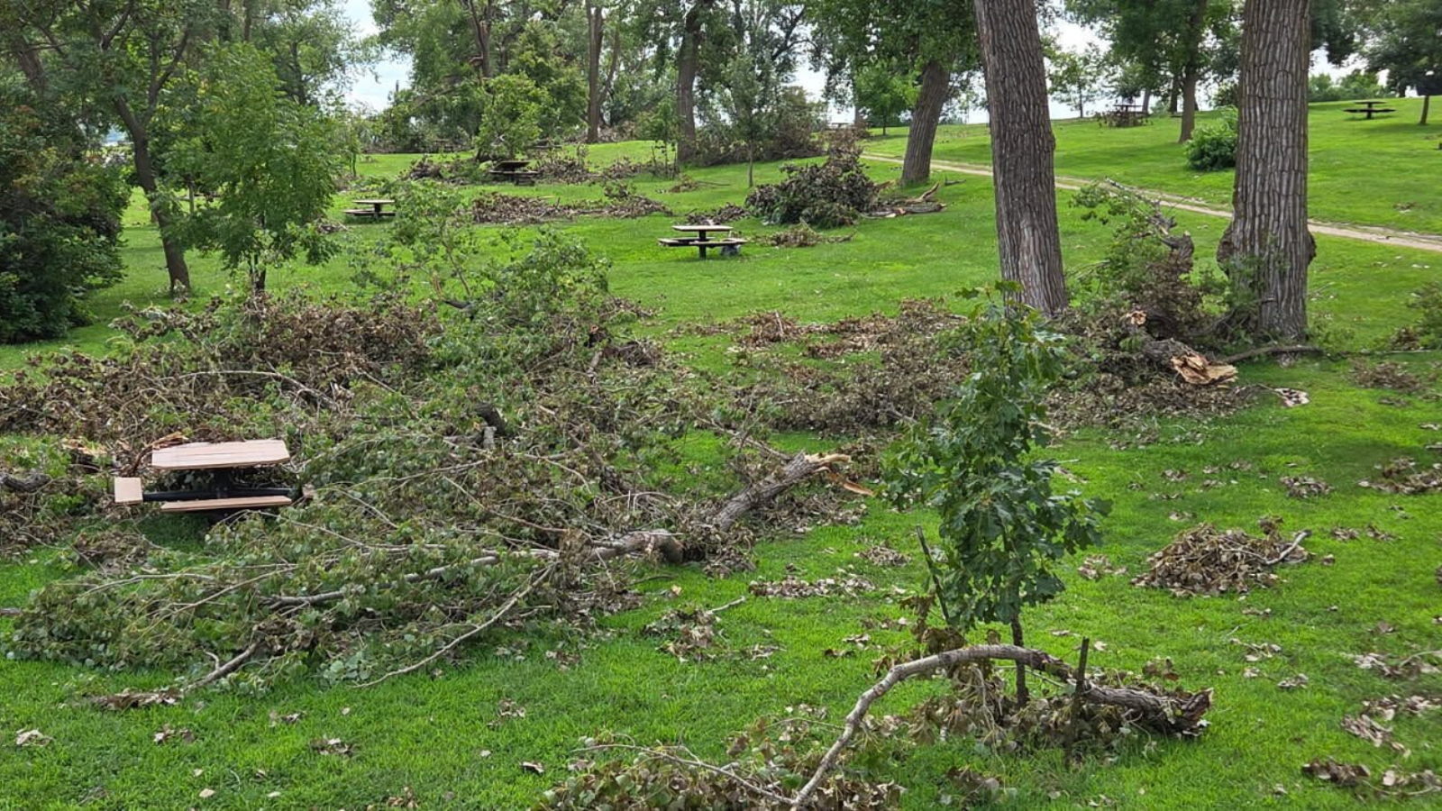 Storm causes 'tremendous' damage at 4 Nebraska recreation areas, could take year to clean up